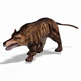 Andrewsarchus 03 A_0001